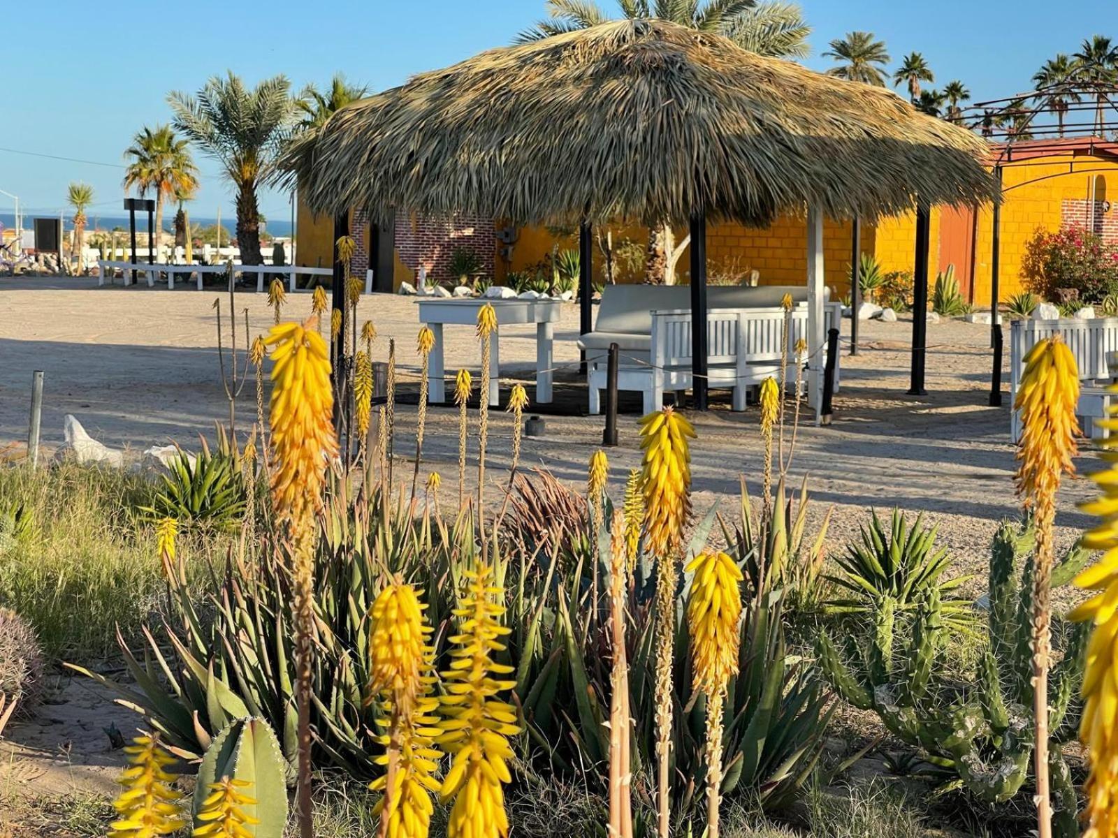 Hotel Las Palmas San Felipe (Baja California) Exterior foto