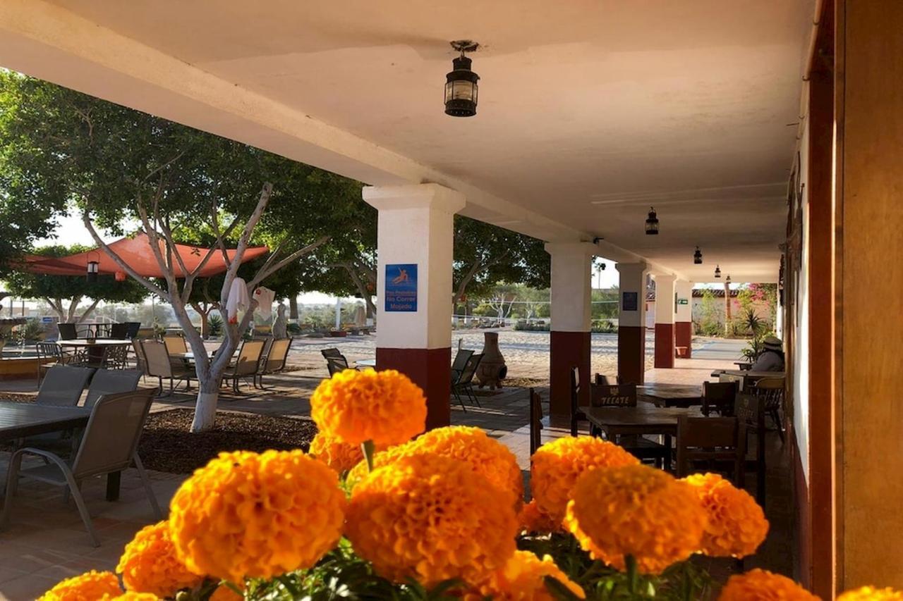 Hotel Las Palmas San Felipe (Baja California) Exterior foto